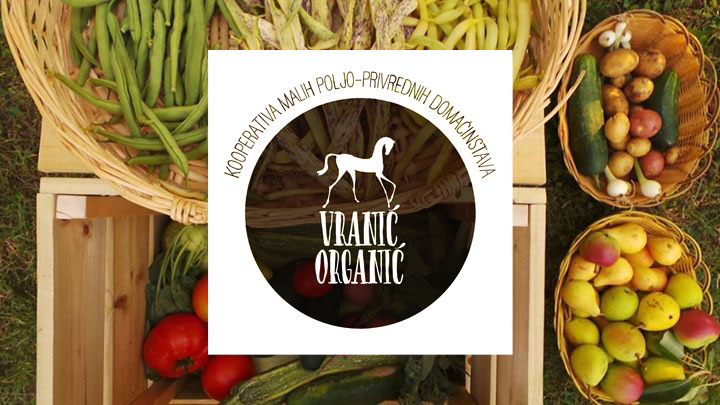 vranic organic logo